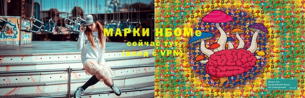 дмт Алзамай