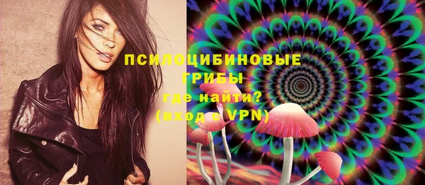 дмт Алзамай
