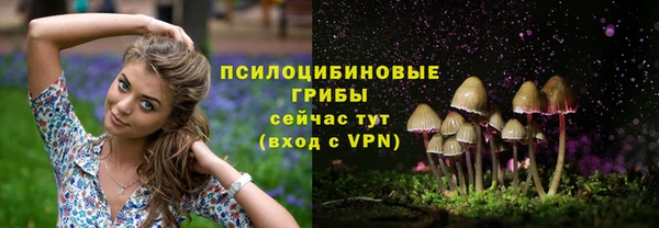 дмт Алзамай