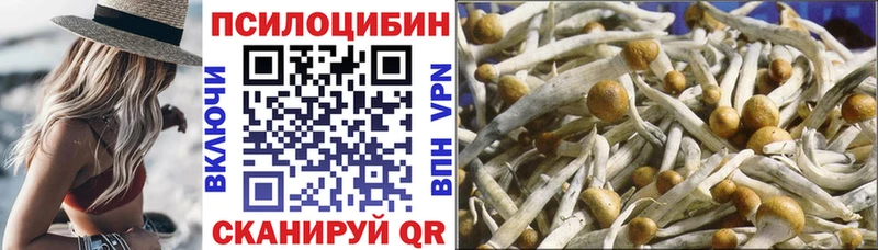 Псилоцибиновые грибы Psilocybine cubensis  магазин продажи наркотиков  Щигры 